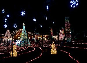 holiday lights at lincoln park zoo